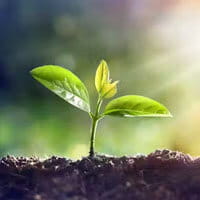 100% natural plant based livpure