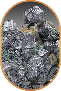 livpure ingredient Molybdenum